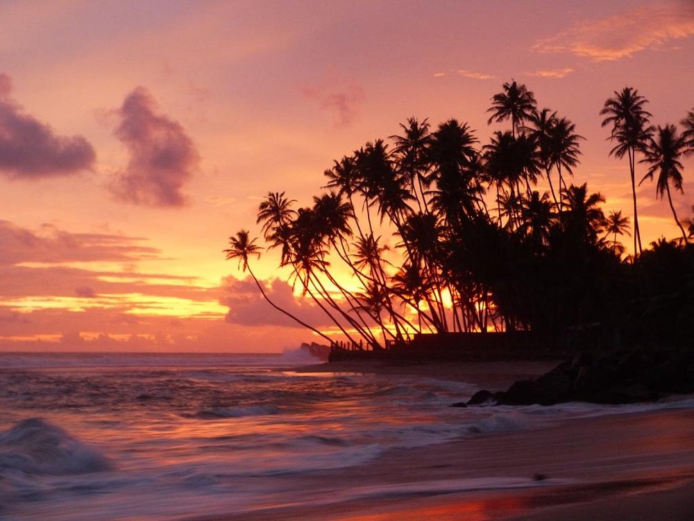 Mihiripanna Beach - Southern Coast